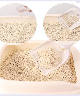 Types of Cat Litter ,Let's Choose