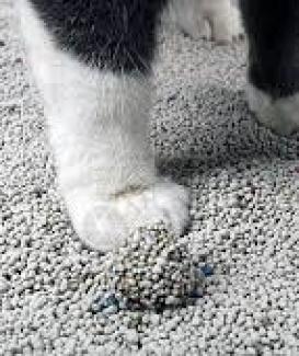 Todd Natural And Clean Bentonite Cat Litter